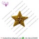 Hand Embroidered Badge Star Gold 25mm Sold Each