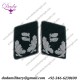 German Nsdap Gauleiter Collar Tabs