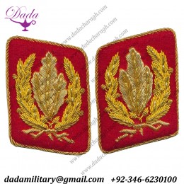 German Sa Stabschef Ernst Röhm Hand Embroidered Collar Tabs