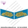 Heer General Of Special Tsd Army Judge Administrative Service Collar Tabs