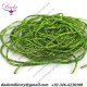 Cannetille curly green bamboo
